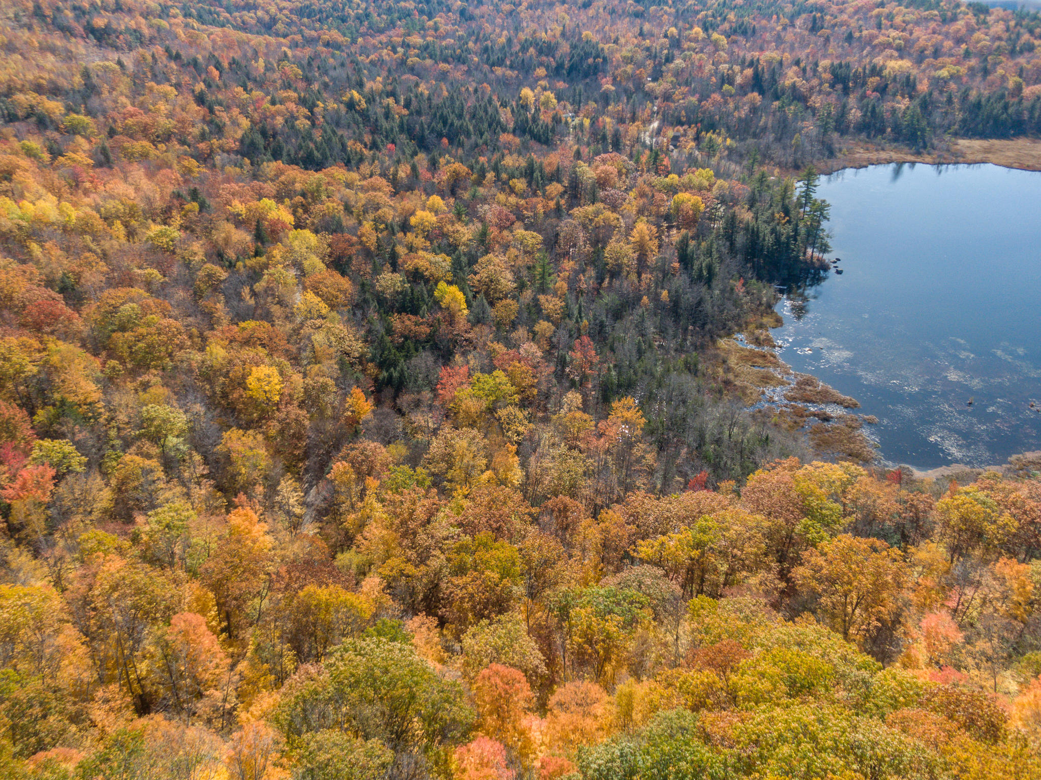 Tbd Mann Camp Road Bryant Pond, ME 04219 - Photo 6 of 11 Mann Rd Lot-6