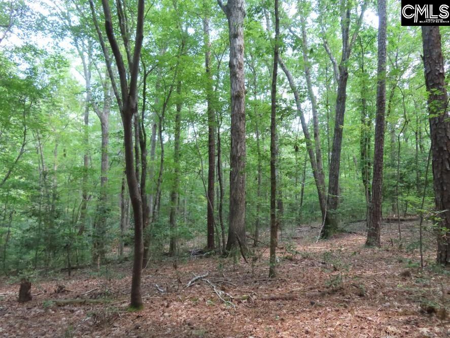 0 Park Road Ridgeway, SC 29130 - Photo 29 of 47
