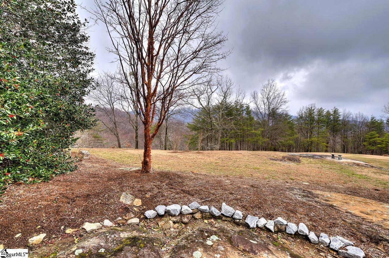 21 Eagle Rock Road Landrum, SC 29356 - Photo 45 of 47