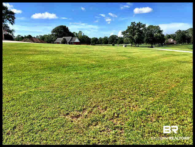 0 Deer Ridge Drive Wilmer, AL 36587 - Photo 3 of 17