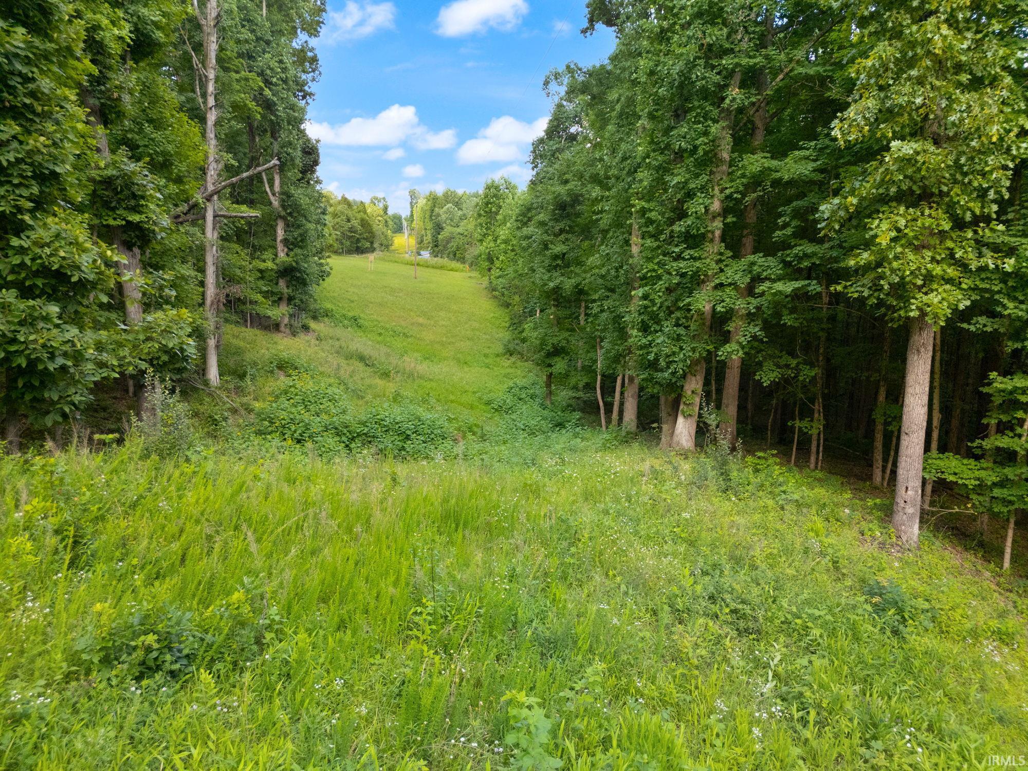 3681 Jericho Road Taswell, IN 47175 - Photo 16 of 30