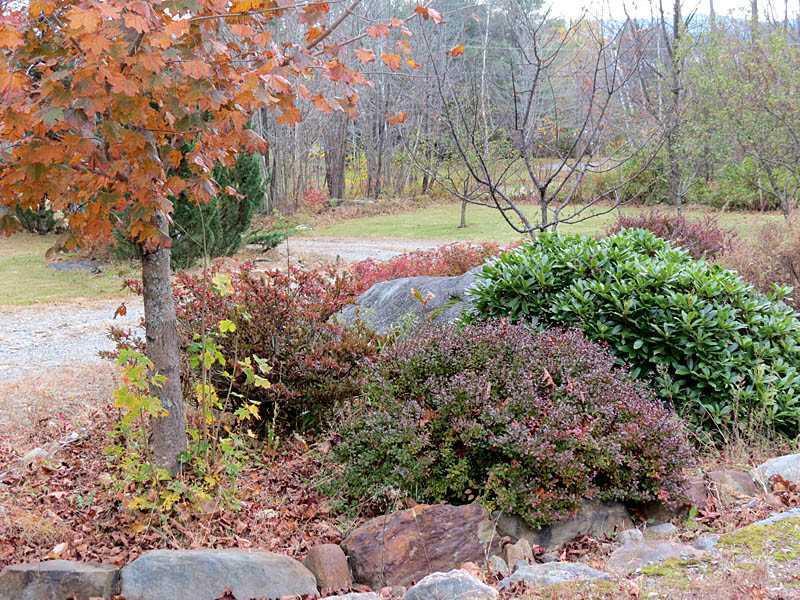 18 Guy Chandler Road Wilton, ME 04294 - Photo 19 of 23 Yard/Garden.