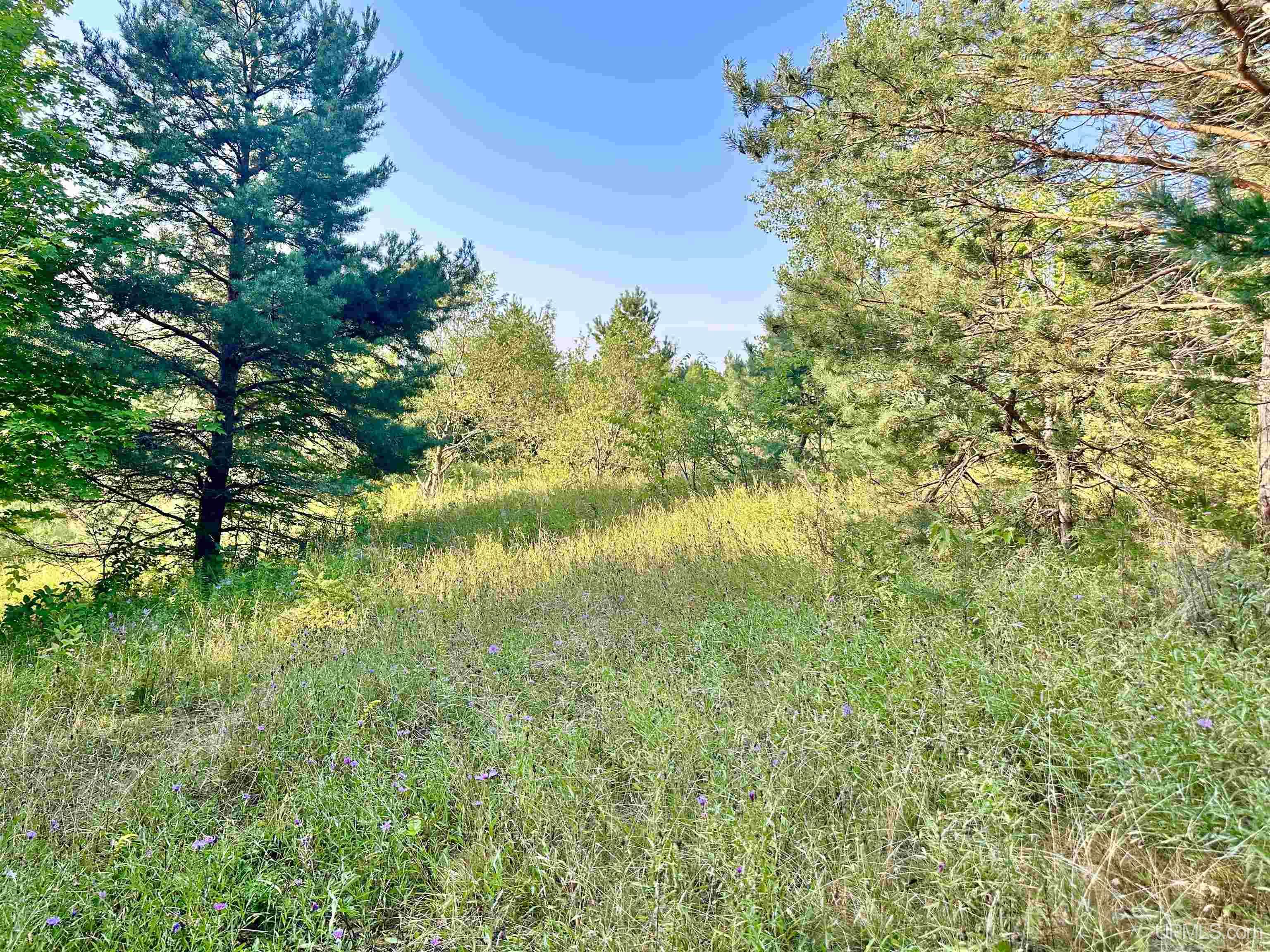 Tbd Crestview Road Ironwood, MI 49938 - Photo 21 of 49