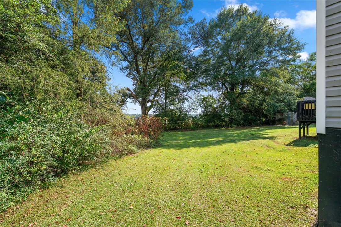 365 Armstrong Road Seneca, SC 29678 - Photo 25 of 30