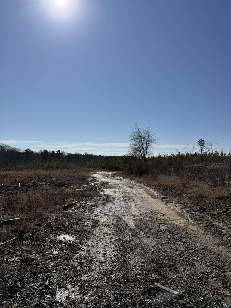 0 Armstrong 1101-3 Road Southeast Cleveland, TN 37323 - Photo 3 of 10 BE1E4172-7B93-49C8-A581-E5E6536D9CAD_1_1
