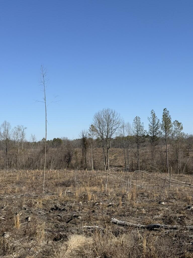 0 Armstrong 1101-3 Road Southeast Cleveland, TN 37323 - Photo 8 of 10 3C1FBA29-A2C6-4A73-937D-DE4C344B8E10_1_1