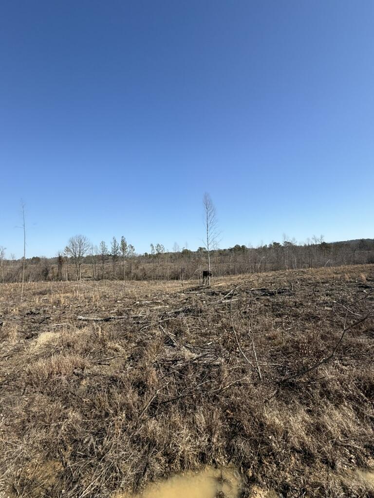 0 Armstrong 1101-3 Road Southeast Cleveland, TN 37323 - Photo 9 of 10 377673EA-E528-4BCA-A75A-B89F61184FAB_1_1