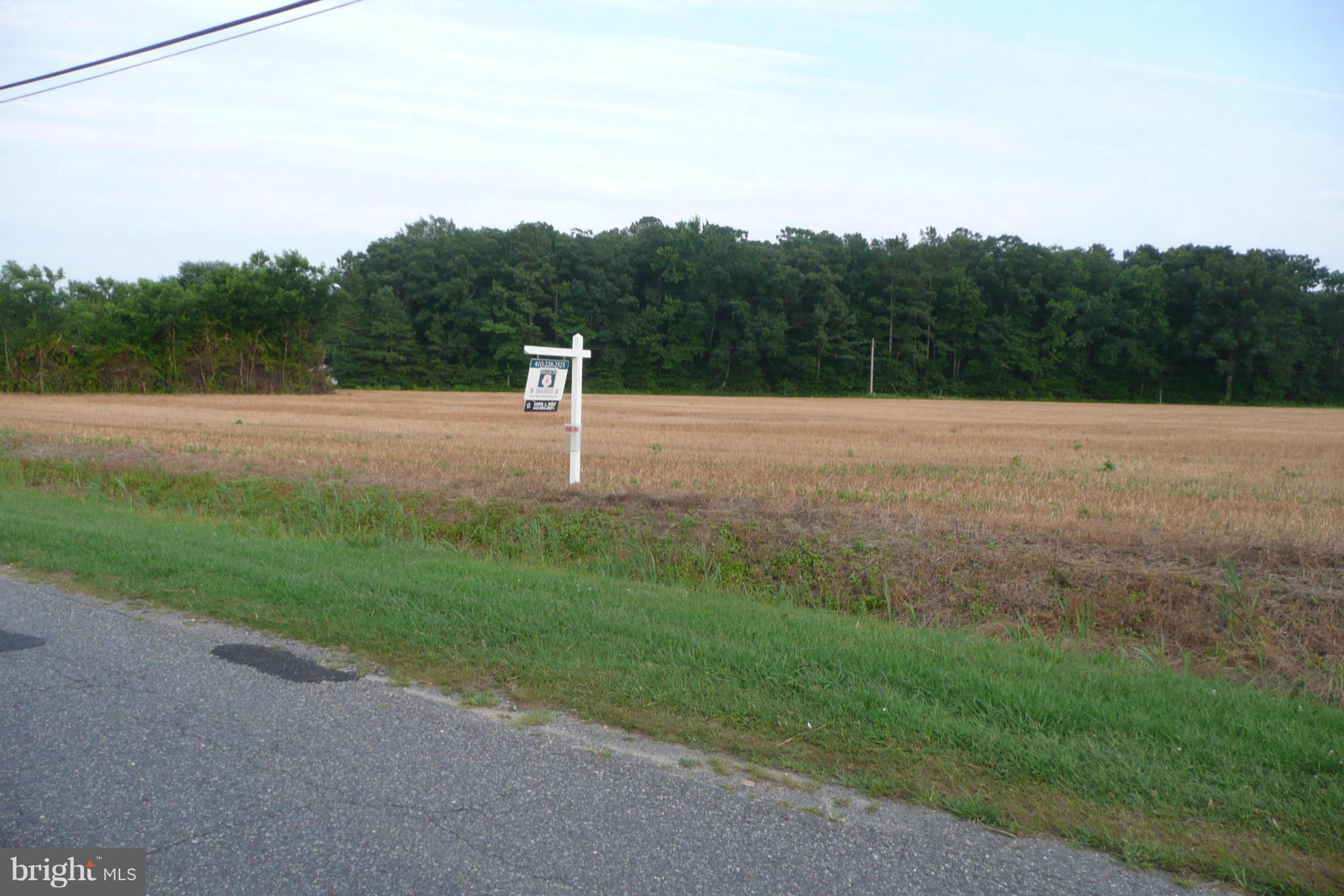 Aireys Spur Road Cambridge, MD 21613 - Photo 1 of 18 Exterior (General)