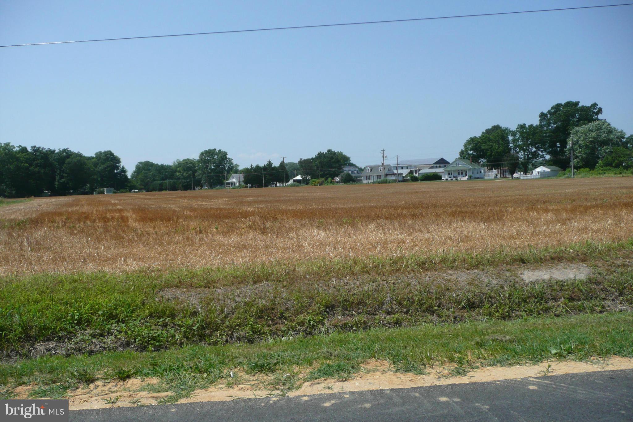 Aireys Spur Road Cambridge, MD 21613 - Photo 11 of 18 View from Aireys Spur Rd