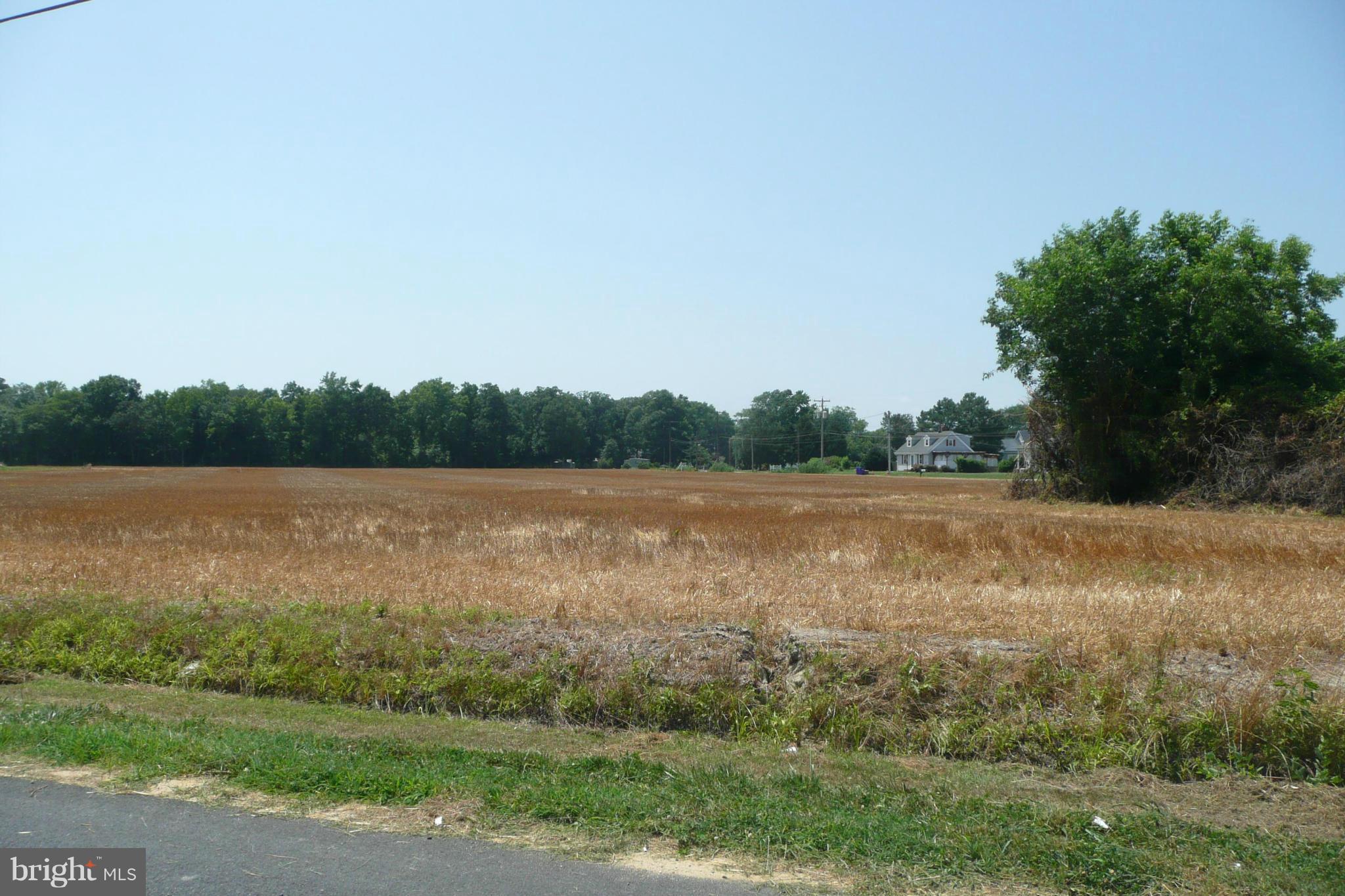 Aireys Spur Road Cambridge, MD 21613 - Photo 12 of 18 View from Aireys Spur Rd