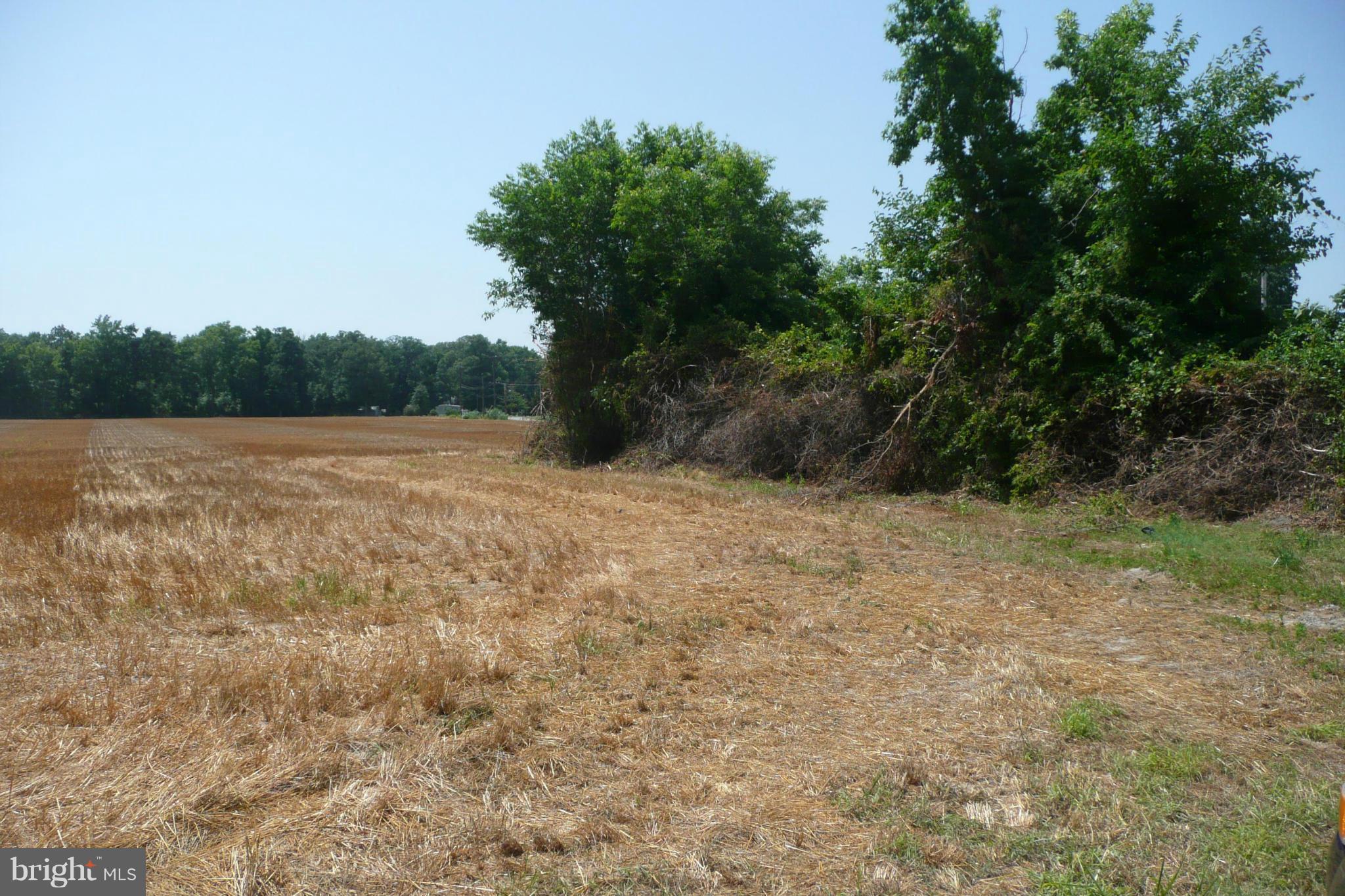 Aireys Spur Road Cambridge, MD 21613 - Photo 16 of 18 View from Cordtown Rd