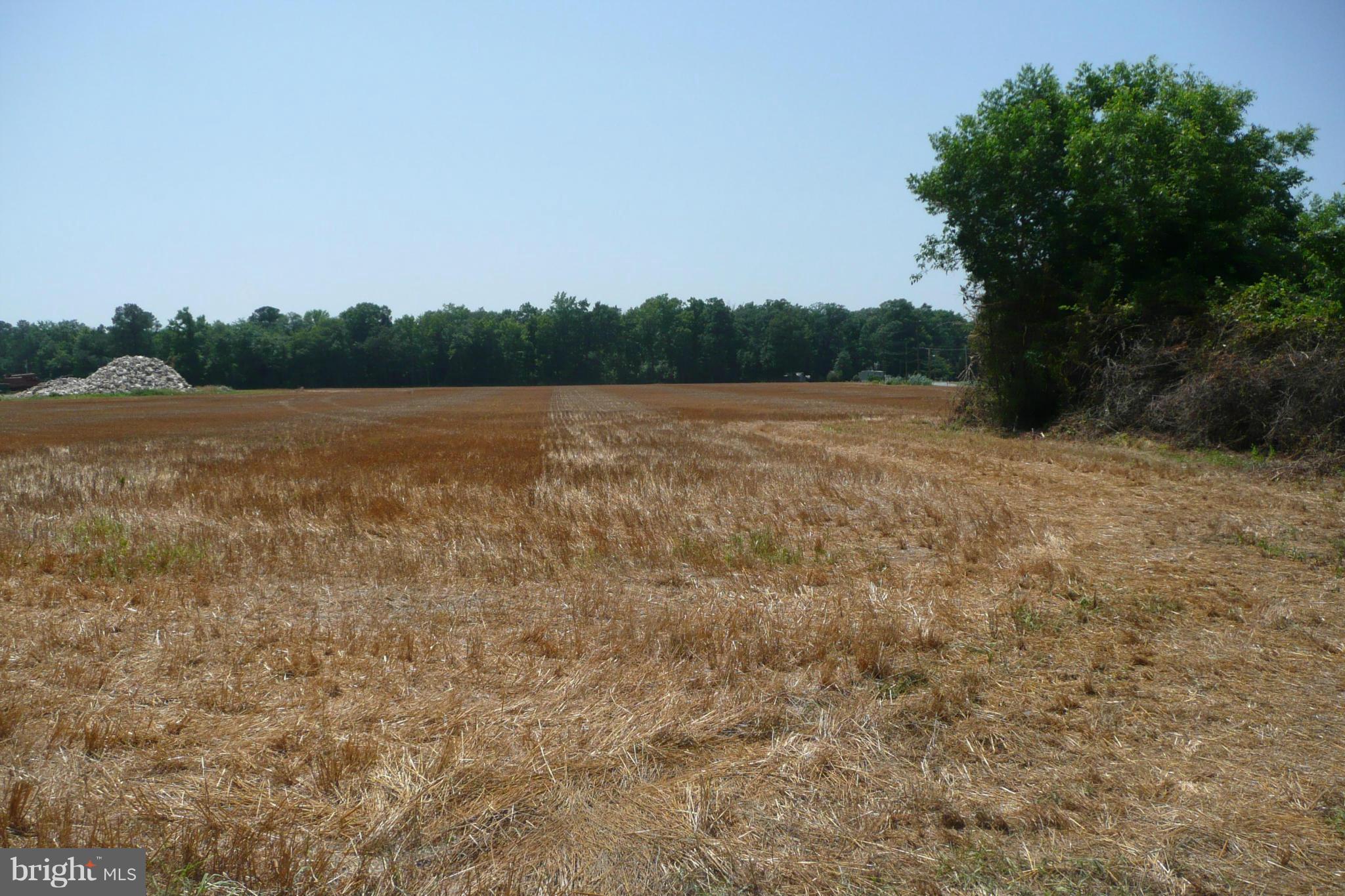 Aireys Spur Road Cambridge, MD 21613 - Photo 17 of 18 View from Cordtown Rd