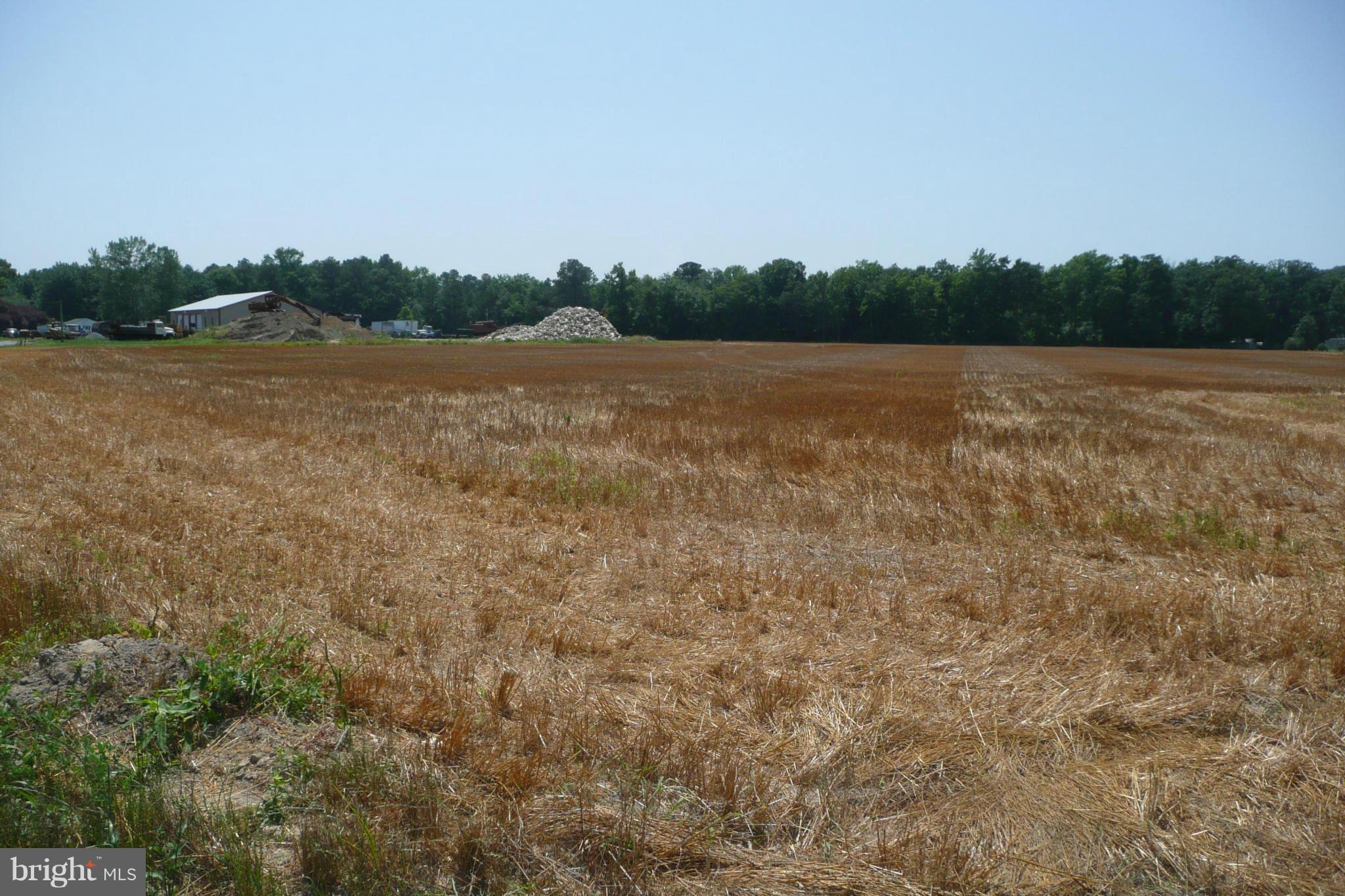 Aireys Spur Road Cambridge, MD 21613 - Photo 18 of 18 View from Cordtown Rd