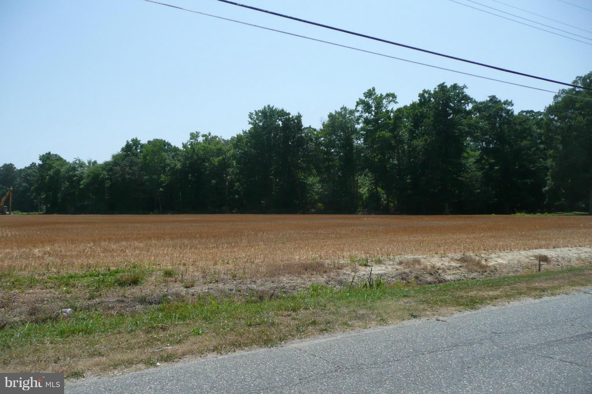 Aireys Spur Road Cambridge, MD 21613 - Photo 9 of 18 View from Aireys Spur Rd