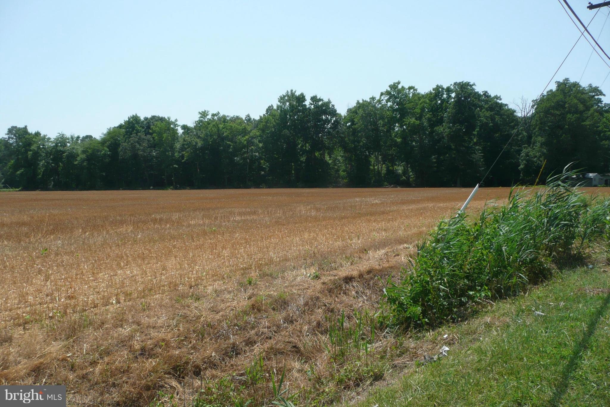 Aireys Spur Road Cambridge, MD 21613 - Photo 10 of 18 View from Aireys Spur Rd