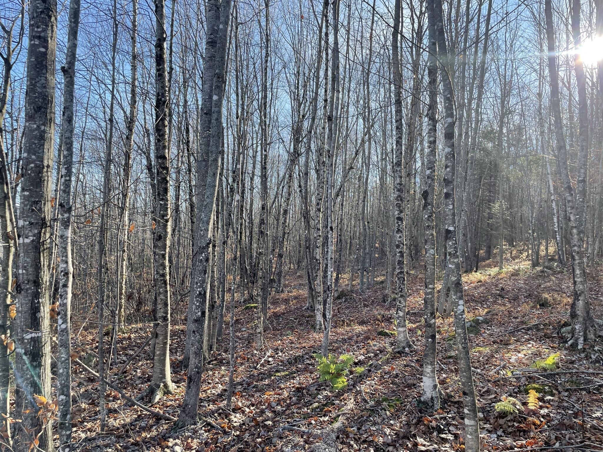 17 Outlook Road Bryant Pond, ME 04219 - Photo 16 of 18 80CE3098-A980-42AD-9590-55332FB80CC4