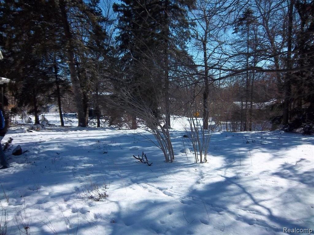 681 North Conklin Road Lake Orion, MI 48362 - Photo 13 of 13 Mature Tree Yard.JPG