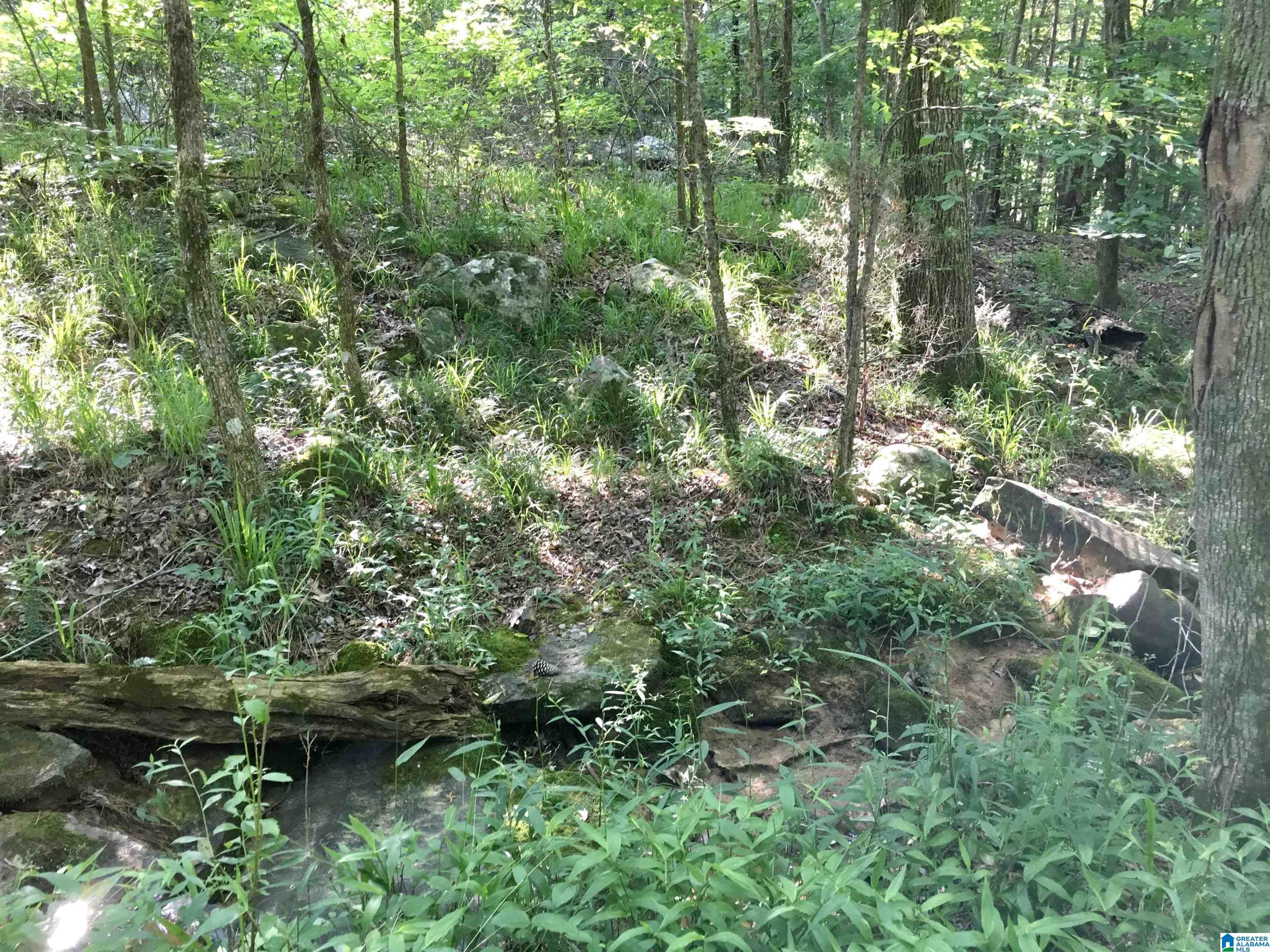 0 Quail Ridge Road, Unit 1 Oneonta, AL 35121 - Photo 18 of 29