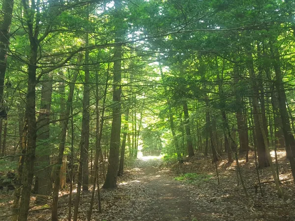 $1,060,000 | 594 River Road, Windham, ME 04062