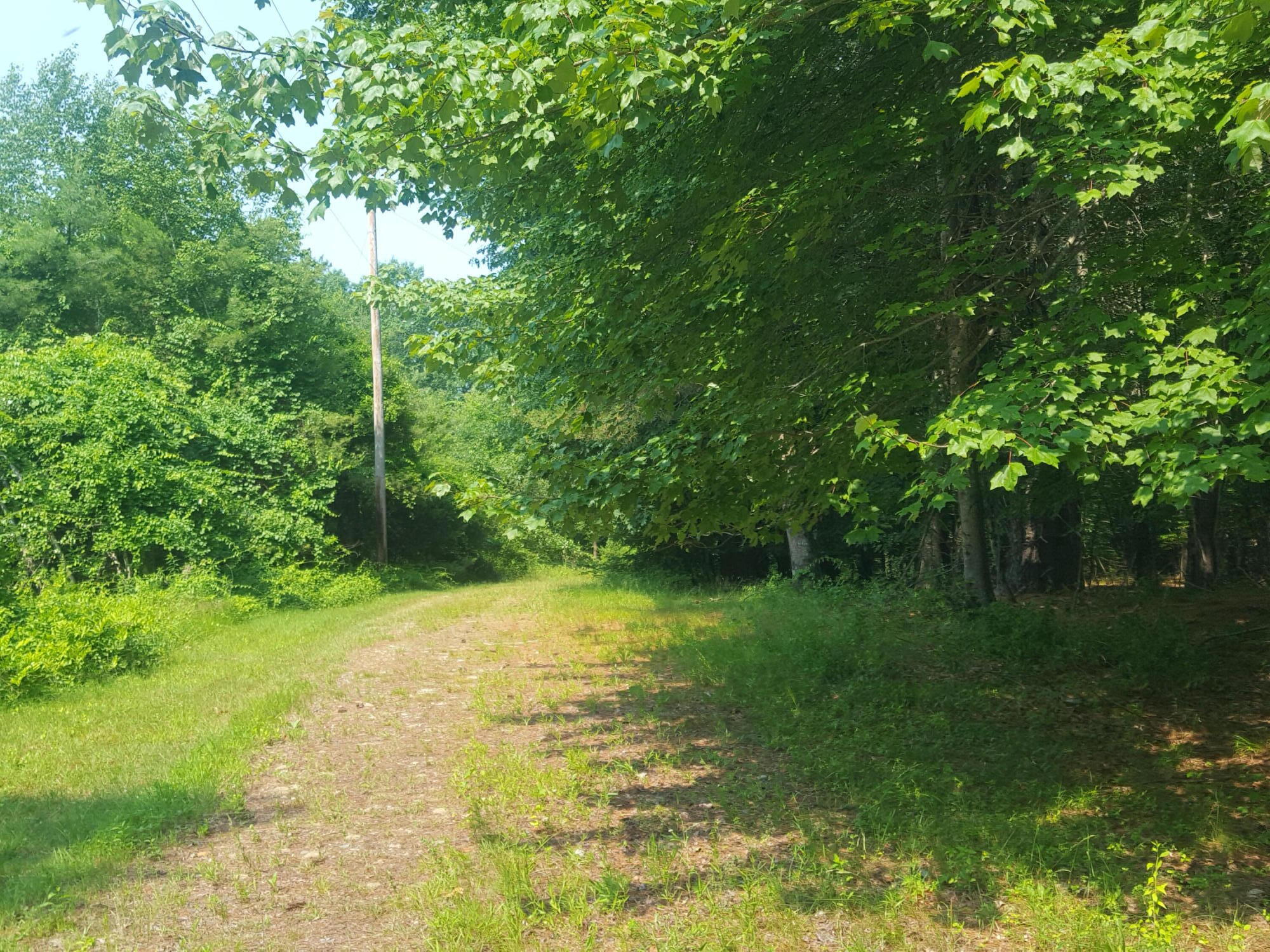 594 River Road Windham, ME 04062 - Photo 13 of 34 20250703_101717