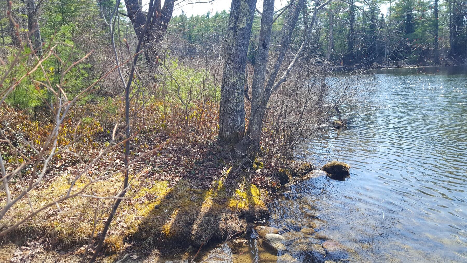 594 River Road Windham, ME 04062 - Photo 19 of 34 20250424_145122_result_2