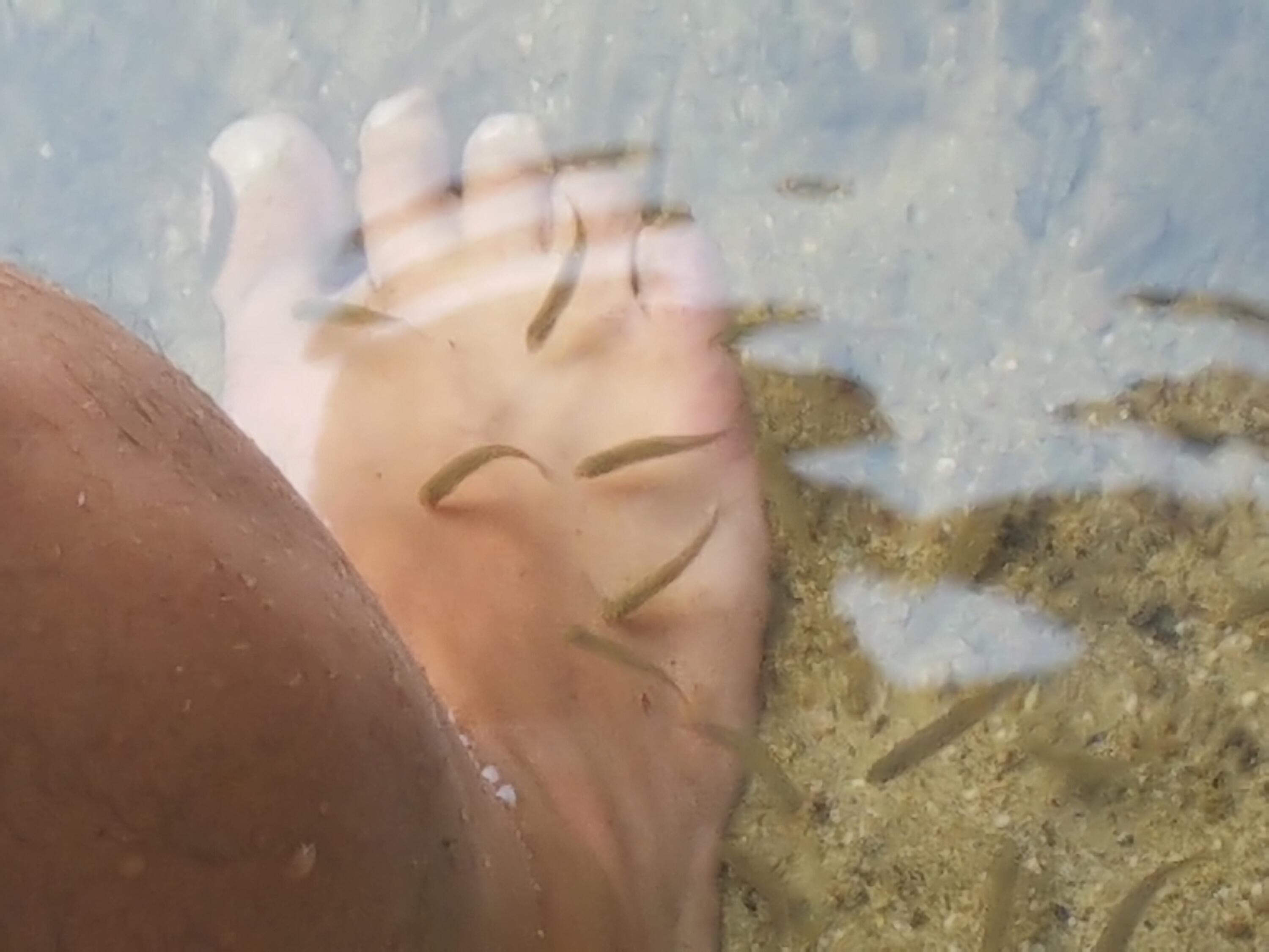 594 River Road Windham, ME 04062 - Photo 3 of 34 20250804_191036