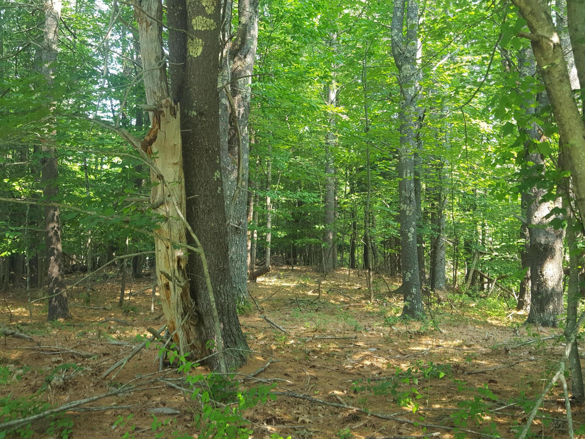 594 River Road Windham, ME 04062 - Photo 7 of 34 20250703_101735