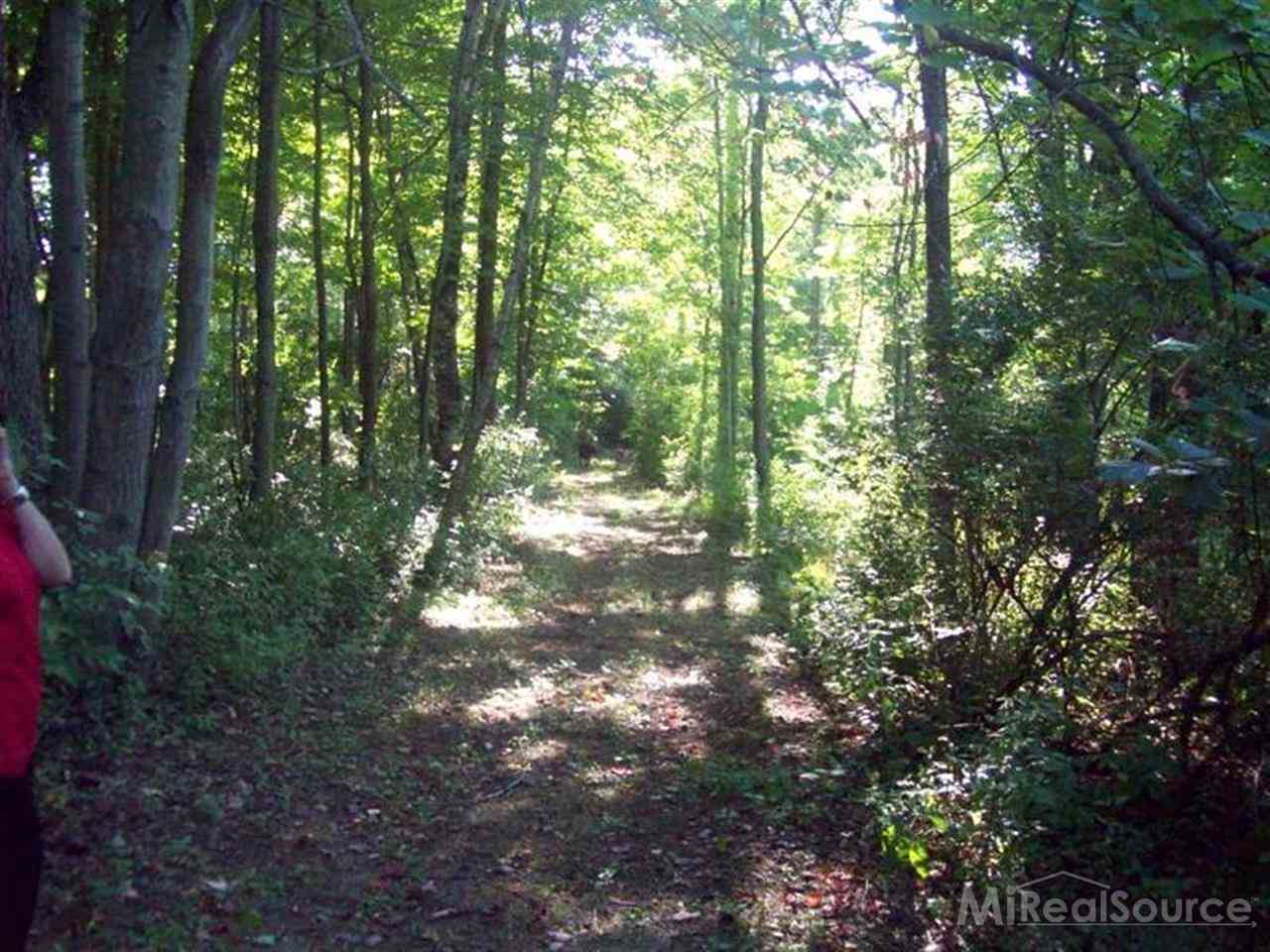 4329 Rabidue Road North Street, MI 48049 - Photo 23 of 30 31163279-22.JPG
