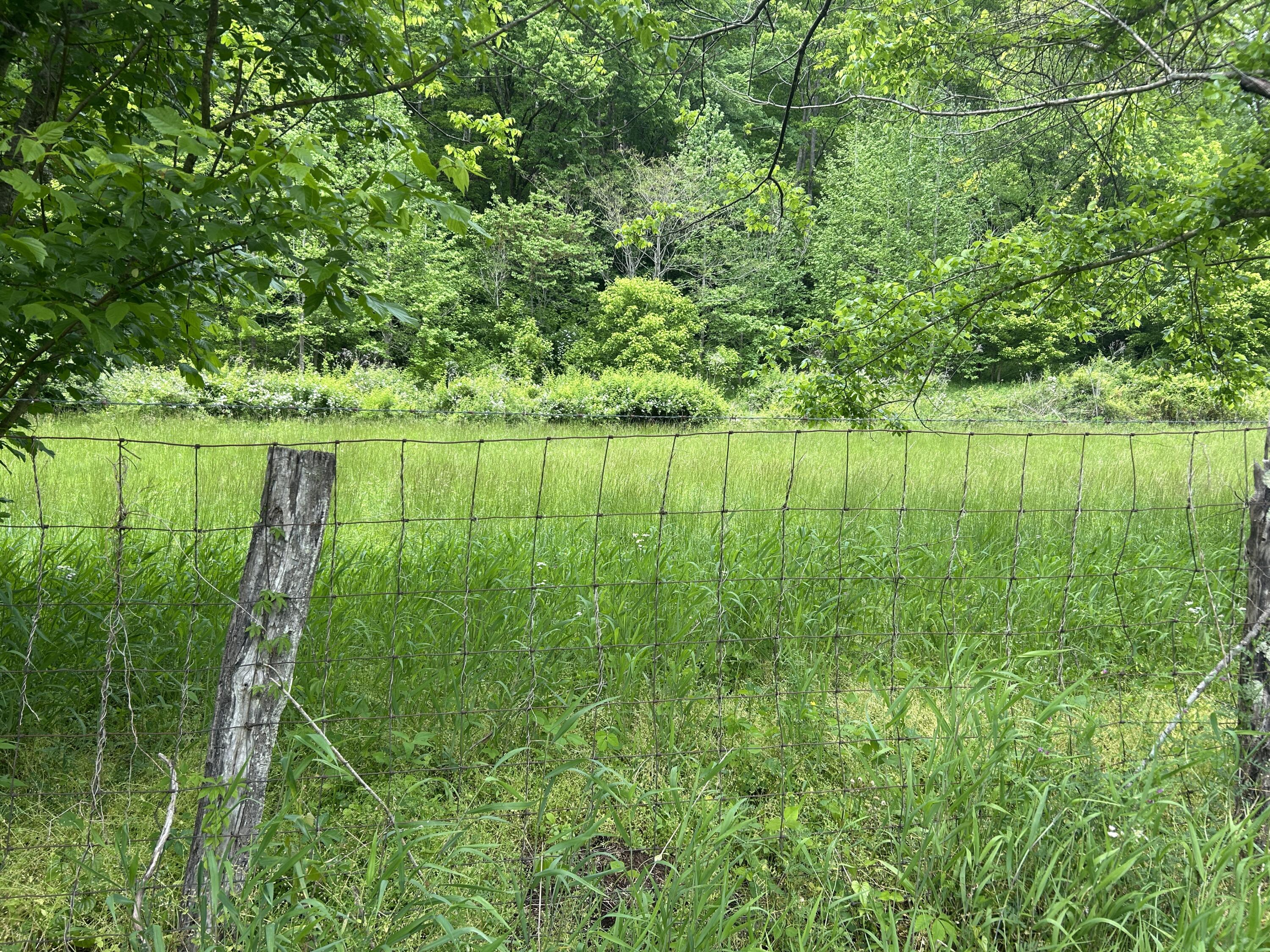 0 Jacks Creek Road Oneida, KY 40972 - Photo 1 of 7 (Upload-from-mobile-1778091116)IMG_5632