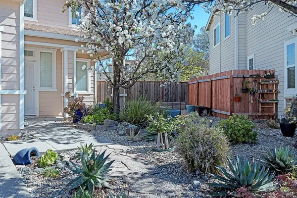 a view of a backyard with potted plants and large tree