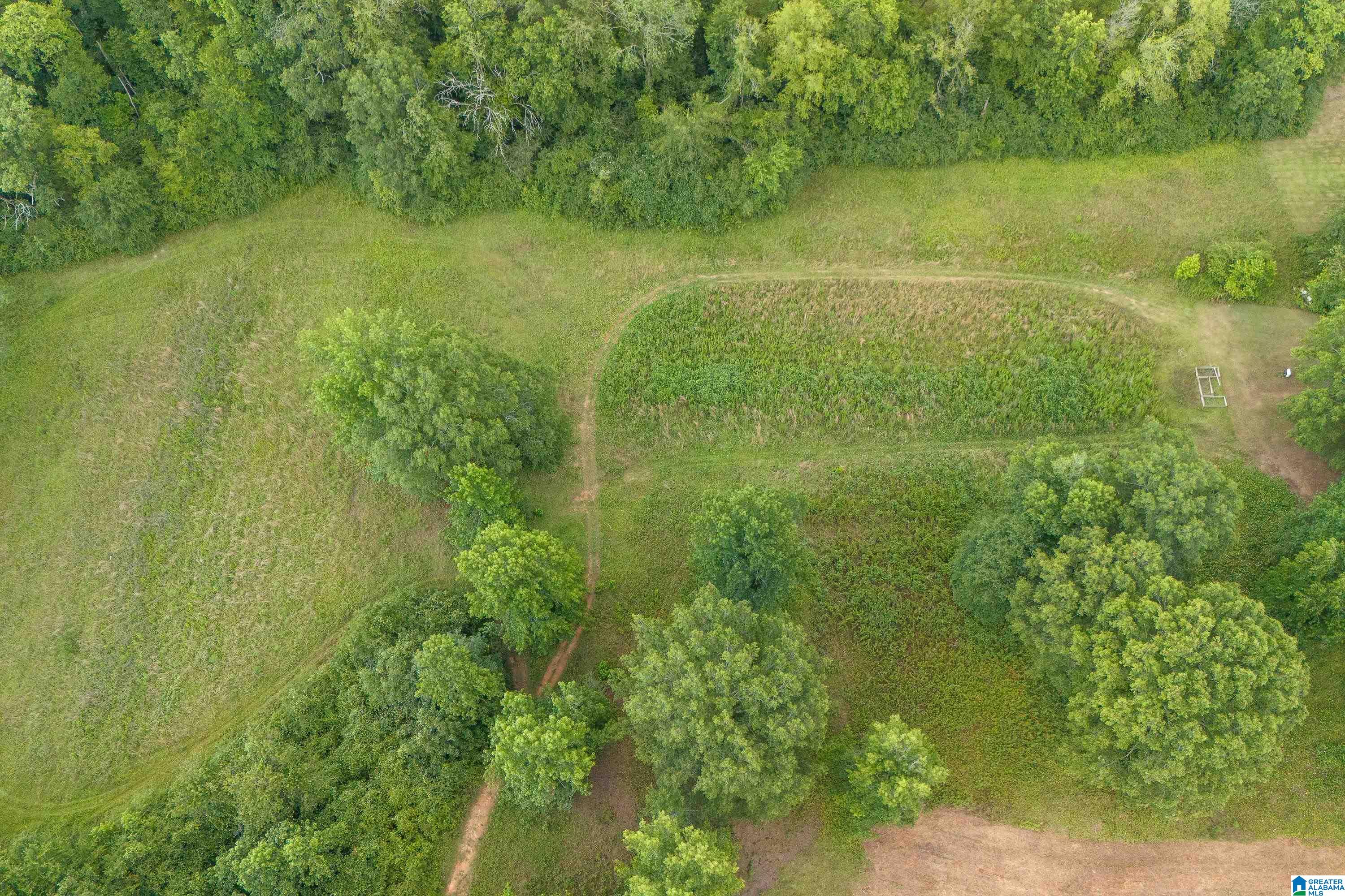 350 Plum Springs Road Lincoln, AL 35096 - Photo 56 of 62
