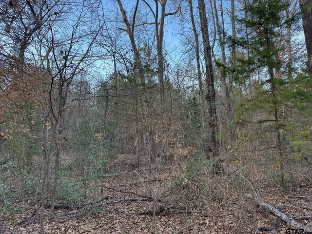 $59,900 | 12415 County Road 217, Arp, TX 75750