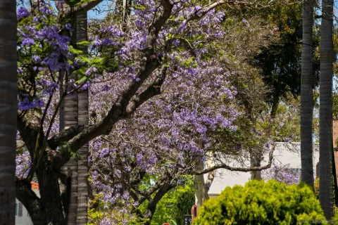 $725,000 | 3266 1st Avenue, Unit 35, San Diego, CA 92103