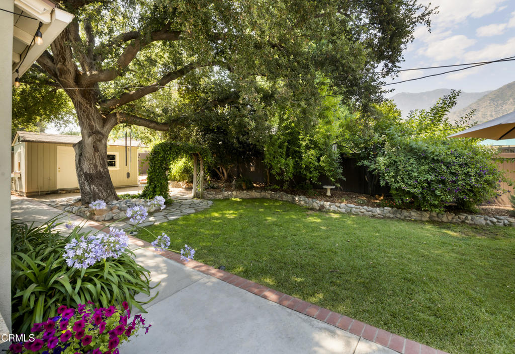 1873 North Harding Avenue Altadena, CA 91001 - Photo 41 of 55 a view of a garden with plants and large trees