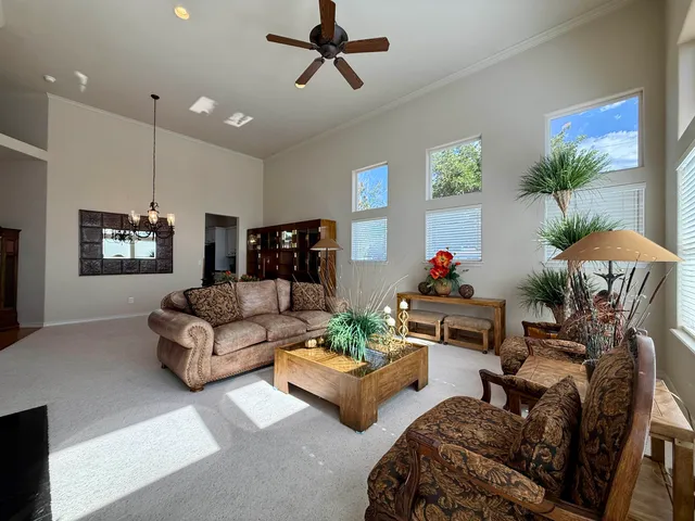 a living room with furniture kitchen view and a potted plant
