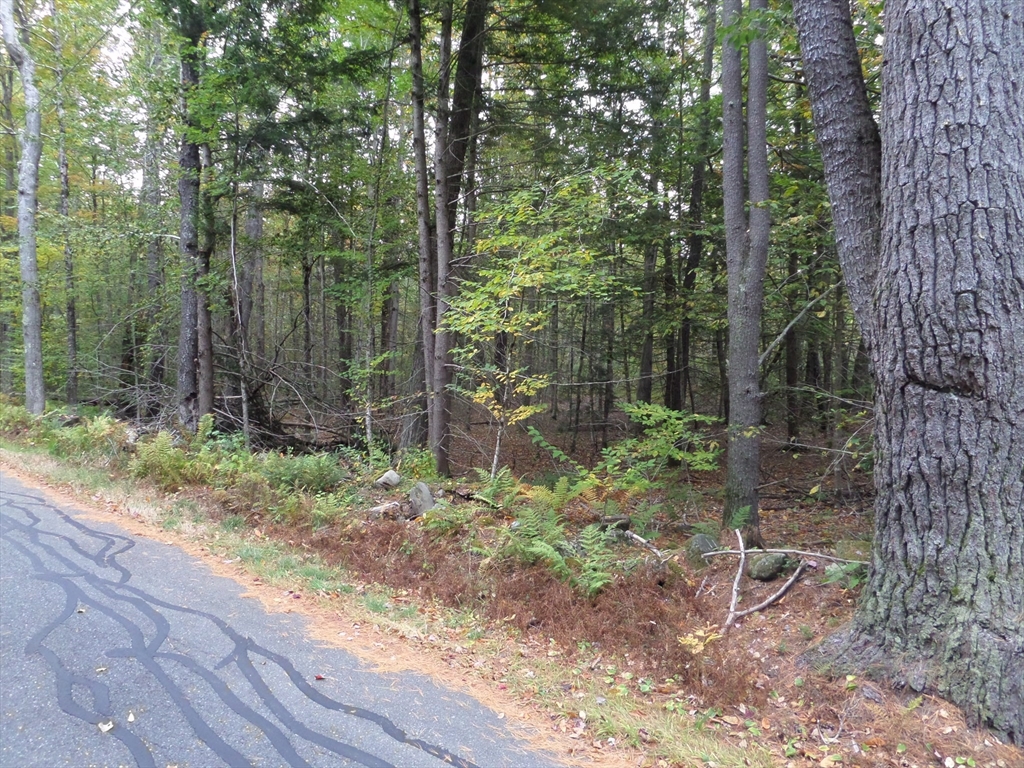 B Damon Pond Road Chesterfield, MA 01012 - Photo 6 of 7 Gallery Image 6