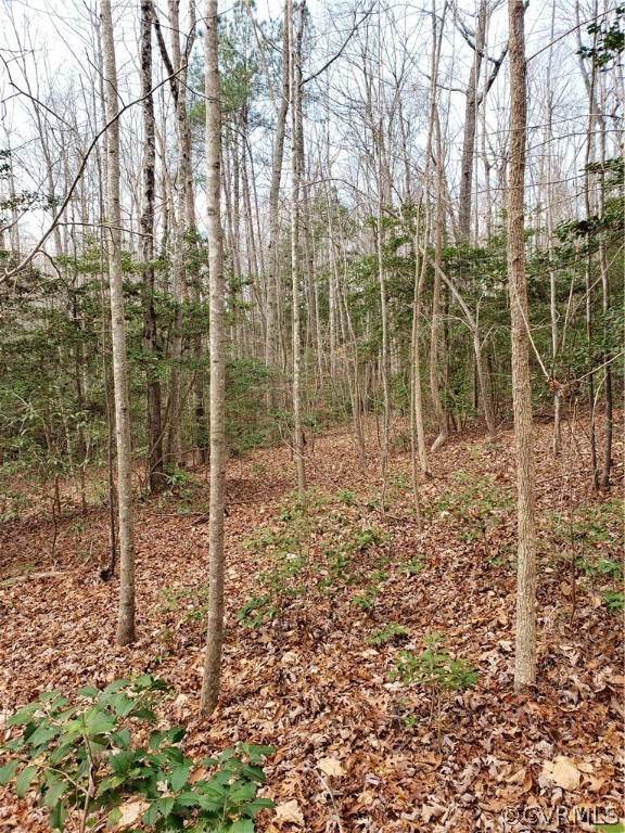 0 Eppings Tract Road Montross, VA 22520 - Photo 3 of 3 Gallery Image 3