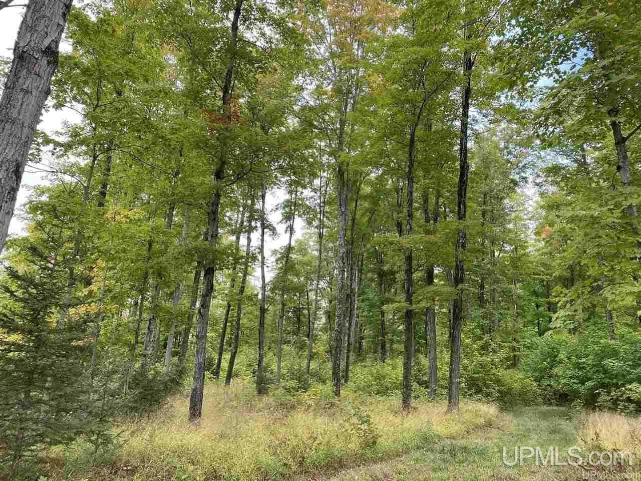 5998 East Maple Ridge 37th Road Rock, MI 49880 - Photo 44 of 50