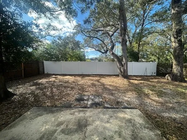 a view of a yard