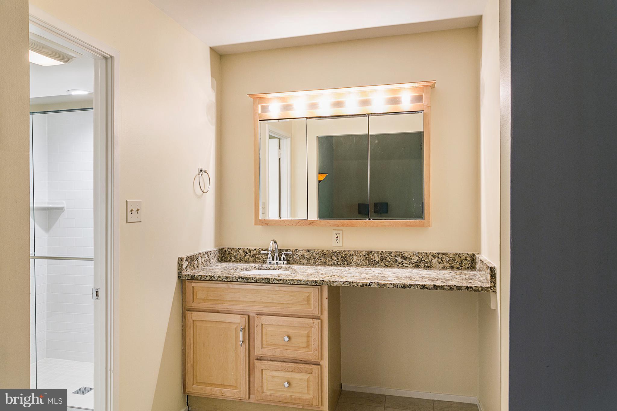 11664 Mediterranean Court Reston, VA 20190 - Photo 23 of 30 Bath (Master)