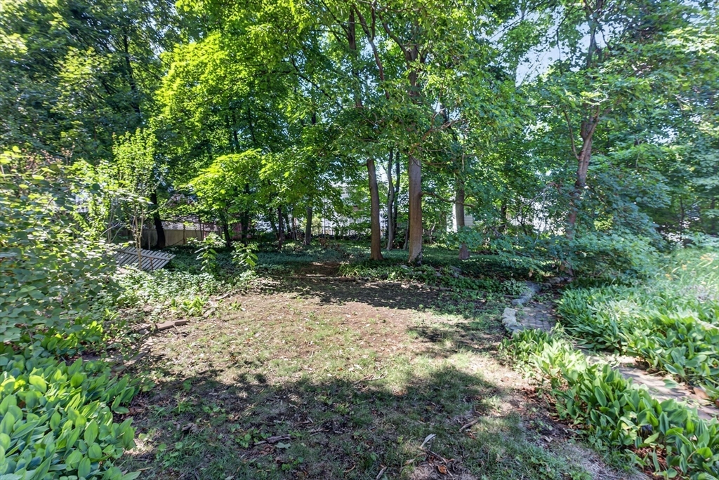 20 Payson Road, Unit 1 Belmont, MA 02478 - Photo 16 of 17