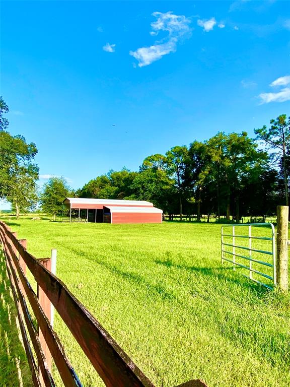 10 Southwest 50th Avenue Bell, FL 32619 - Photo 15 of 45