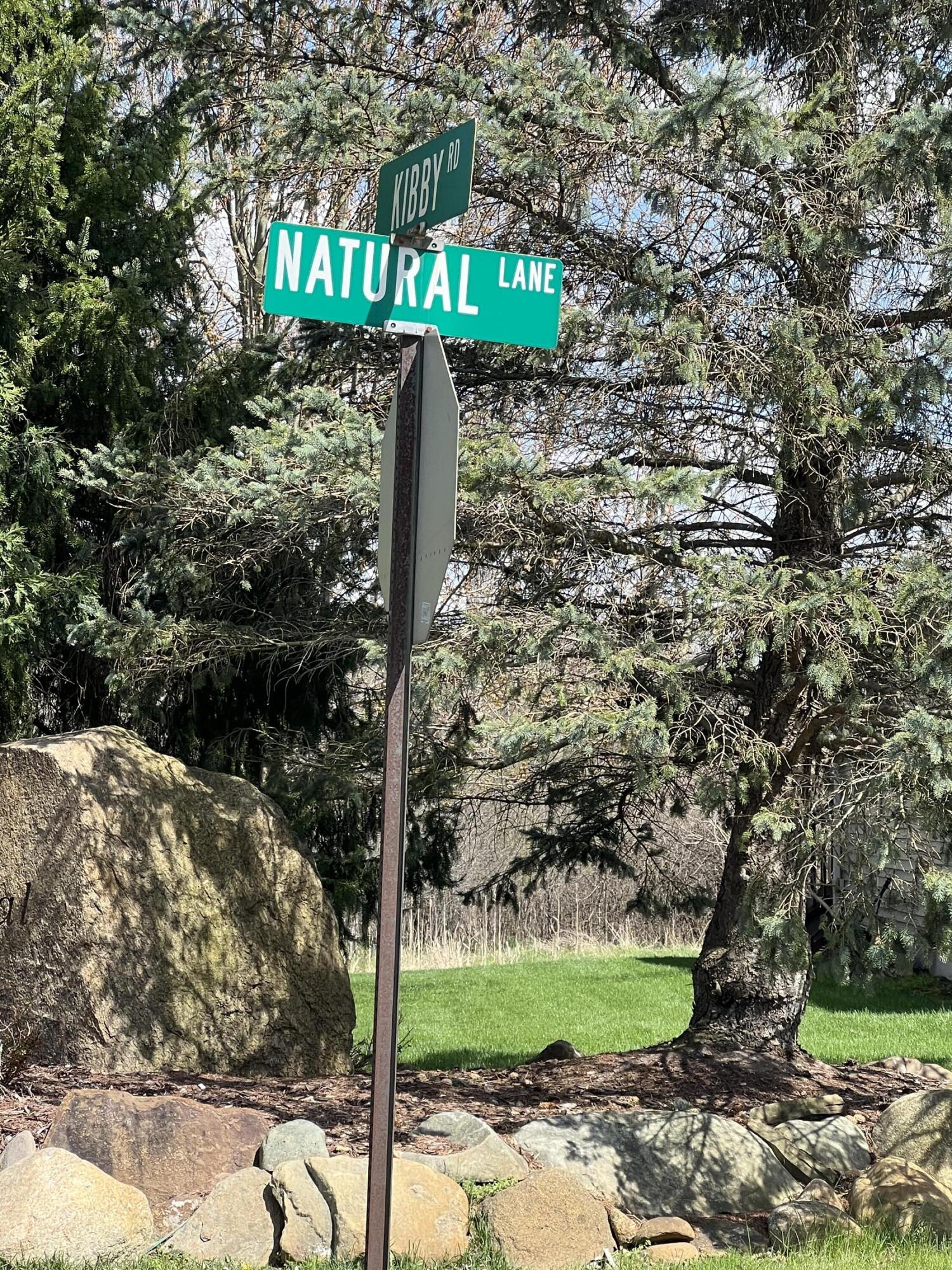 30 Natural Lane Jackson, MI 49201 - Photo 9 of 9 IMG_6380