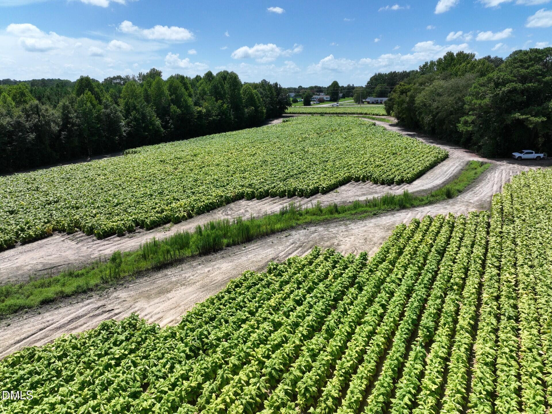 Lot 2 River Run Road Selma, NC 27576 - Photo 17 of 25 Pic 16 Selma