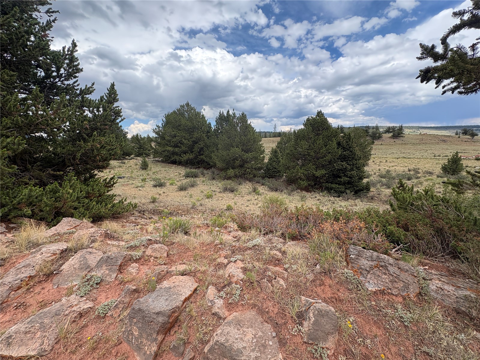 1344 Silver Heels Road Fairplay, CO 80440 - Photo 27 of 31 Gallery Image 27