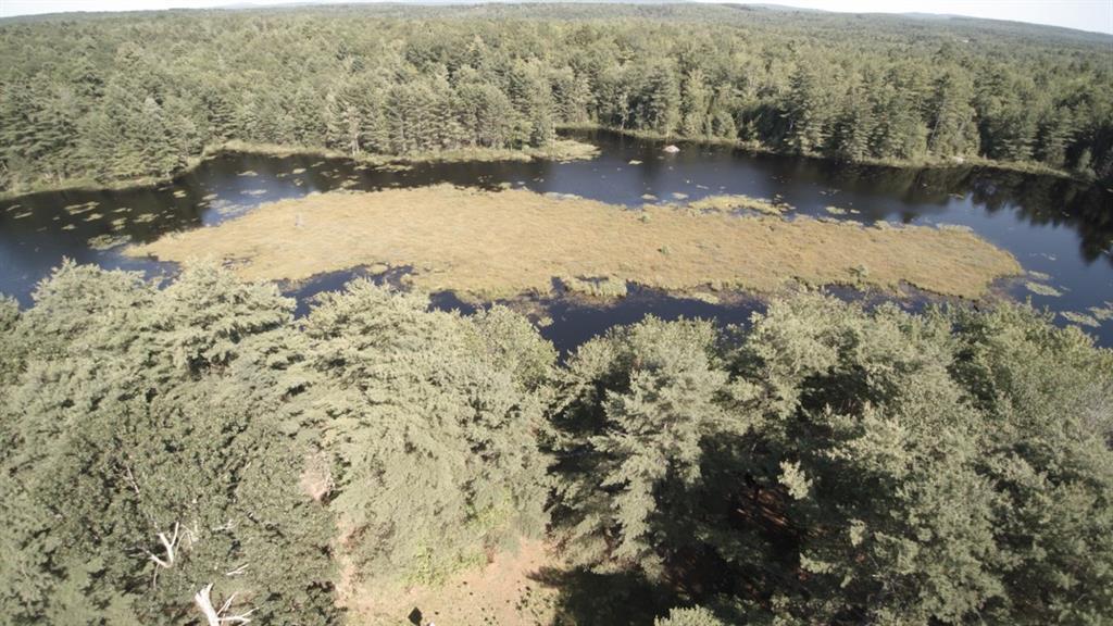 764 Old County Road Washington, ME 04574 - Photo 31 of 37 +/- 2000' along Beaver Pond Marsh