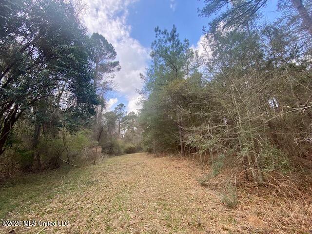 2190 Summit Holmesville Road McComb, MS 39648 - Photo 11 of 16 IMG_9021