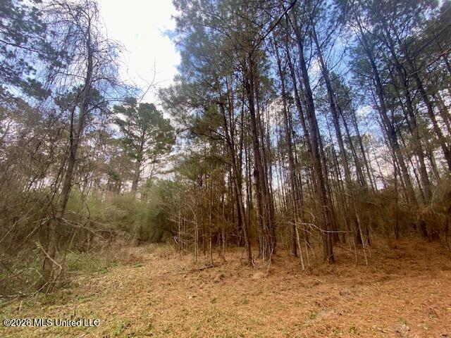 2190 Summit Holmesville Road McComb, MS 39648 - Photo 12 of 16 IMG_9022