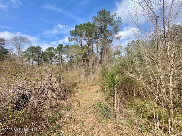 2190 Summit Holmesville Road McComb, MS 39648 - Photo 13 of 16 IMG_9011