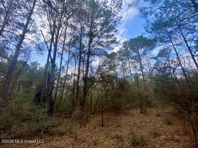 2190 Summit Holmesville Road McComb, MS 39648 - Photo 14 of 16 IMG_9025